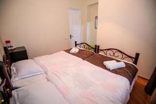 Гостевой дом Family Hotel Laba Тбилиси Двухместный номер с 2 отдельными кроватями и ванной комнатой-5